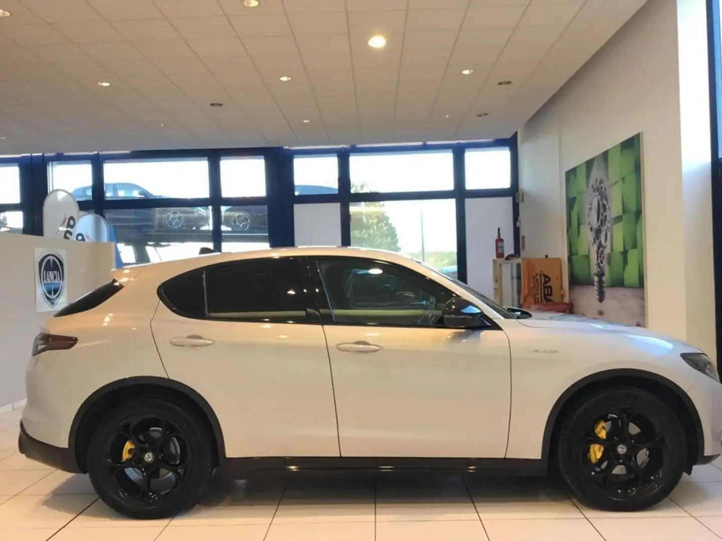 Alfa Romeo Stelvio Stelvio 2.2 Turbodiesel 210 CV AT8 Q4 Veloce MY24 Gris - 2