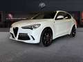 Alfa Romeo Stelvio 2.9 V6 510CV Quadrifoglio AT8 Q4 Bianco - thumbnail 1