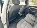 Audi Q3 Q3 2.0 TDI 120 CV Sport Bílá - thumbnail 12