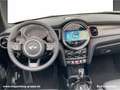 MINI Cooper S Cabrio Cooper S Cabrio DAB LED Navi Komfortzg. Shz PDC Verde - thumbnail 14