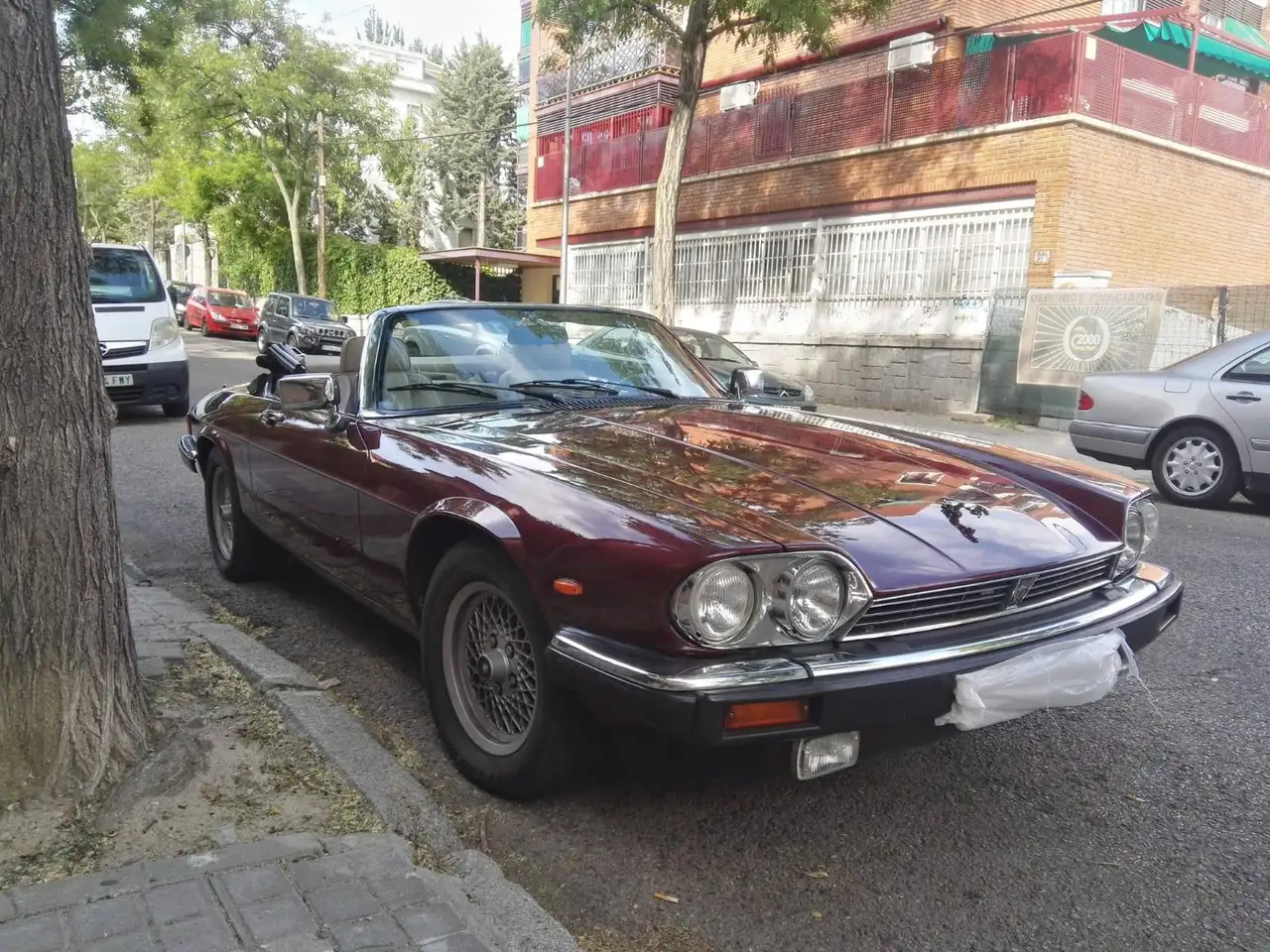 Jaguar XJSC XJS Convertible 5.3 V12, foto 6