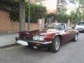 Jaguar XJSC XJS Convertible 5.3 V12 Rojo - thumbnail 1