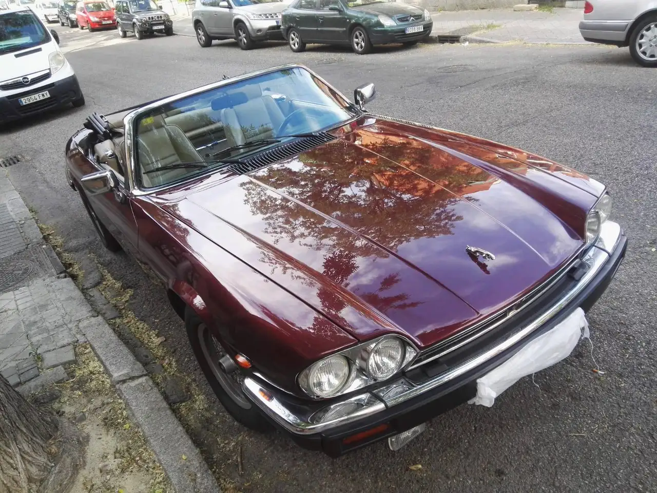 Jaguar XJSC XJS Convertible 5.3 V12, foto 5