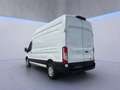 Ford Transit Kasten Trend 350L3H3 *EXPRESS-LINE-PAKET* Blanc - thumbnail 4