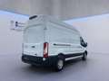 Ford Transit Kasten Trend 350L3H3 *EXPRESS-LINE-PAKET* Blanc - thumbnail 6