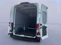 Ford Transit Kasten Trend 350L3H3 *EXPRESS-LINE-PAKET* Blanc - thumbnail 20