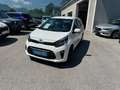 Kia Picanto Picanto 1,0 MPI Titan Titan Weiß - thumbnail 4