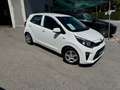 Kia Picanto Picanto 1,0 MPI Titan Titan Weiß - thumbnail 9