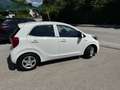 Kia Picanto Picanto 1,0 MPI Titan Titan Weiß - thumbnail 10