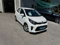 Kia Picanto Picanto 1,0 MPI Titan Titan Weiß - thumbnail 8