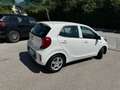 Kia Picanto Picanto 1,0 MPI Titan Titan Weiß - thumbnail 12