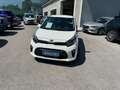 Kia Picanto Picanto 1,0 MPI Titan Titan Weiß - thumbnail 5