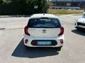 Kia Picanto Picanto 1,0 MPI Titan Titan Weiß - thumbnail 15