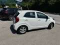 Kia Picanto Picanto 1,0 MPI Titan Titan Weiß - thumbnail 11