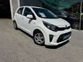Kia Picanto Picanto 1,0 MPI Titan Titan Weiß - thumbnail 29