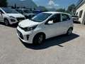 Kia Picanto Picanto 1,0 MPI Titan Titan Weiß - thumbnail 2
