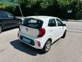 Kia Picanto Picanto 1,0 MPI Titan Titan Weiß - thumbnail 13