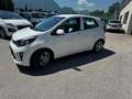 Kia Picanto Picanto 1,0 MPI Titan Titan Weiß - thumbnail 1