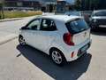 Kia Picanto Picanto 1,0 MPI Titan Titan Weiß - thumbnail 17