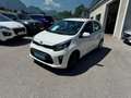 Kia Picanto Picanto 1,0 MPI Titan Titan Weiß - thumbnail 3