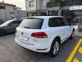 Volkswagen Touareg Touareg 3.0 V6 tdi Executive 245cv tiptronic Bianco - thumbnail 4