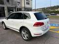 Volkswagen Touareg Touareg 3.0 V6 tdi Executive 245cv tiptronic Bianco - thumbnail 6