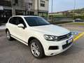 Volkswagen Touareg Touareg 3.0 V6 tdi Executive 245cv tiptronic Bianco - thumbnail 3
