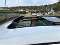Volkswagen Touareg Touareg 3.0 V6 tdi Executive 245cv tiptronic Bianco - thumbnail 15