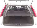 Fiat Punto Street 1.3 Diesel 95CV Bianco - thumbnail 14