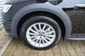 Audi A4 allroad TFSI Xenon 360° Kamera GRA Schwarz - thumbnail 6