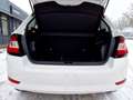 Skoda Fabia 1.0 MPI Cool Klima Sitzheizung DAB Weiß - thumbnail 16