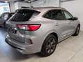 Ford Kuga Kuga III 2.0 ecoblue ST-Line X Design 2wd 120cv Argento - thumbnail 5