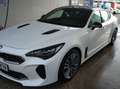 Kia Stinger 2.2CRDi GT Line 4x2 Aut. 200 - thumbnail 13