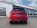 Mazda CX-5 Sports-Line AWD Rot - thumbnail 4