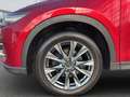 Mazda CX-5 Sports-Line AWD Rot - thumbnail 9