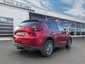 Mazda CX-5 Sports-Line AWD Rot - thumbnail 5