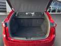 Mazda CX-5 Sports-Line AWD Rot - thumbnail 18