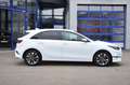 Kia Ceed / cee'd CEED 1.5 T-GDi 140 PS SHZ KAMERA NAVI PRIVACY Blanc - thumbnail 19