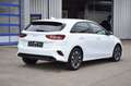 Kia Ceed / cee'd CEED 1.5 T-GDi 140 PS SHZ KAMERA NAVI PRIVACY Blanc - thumbnail 18