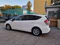 Toyota Prius+ 1.8h Lounge ecvt Blanc - thumbnail 12