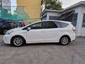 Toyota Prius+ 1.8h Lounge ecvt Blanc - thumbnail 13