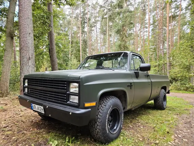 Chevrolet Chevy C10 Pickup Top Truck .Motor neu