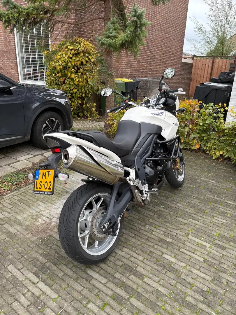Triumph Tiger 1050 ABS Wit - 2