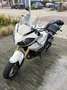 Triumph Tiger 1050 ABS Wit - thumbnail 5
