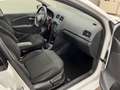 Volkswagen Polo 5p 1.4 tdi Comfortline 75cv modello restyling Weiß - thumbnail 4