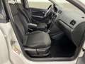 Volkswagen Polo 5p 1.4 tdi Comfortline 75cv modello restyling Weiß - thumbnail 5