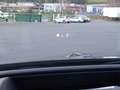 Mercedes-Benz C 43 AMG 43 AMG 408ch 4Matic Gris - thumbnail 14