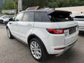 Land Rover Range Rover Evoque SE Dynamic AWD Weiß - thumbnail 6