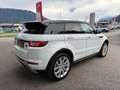 Land Rover Range Rover Evoque SE Dynamic AWD Weiß - thumbnail 5