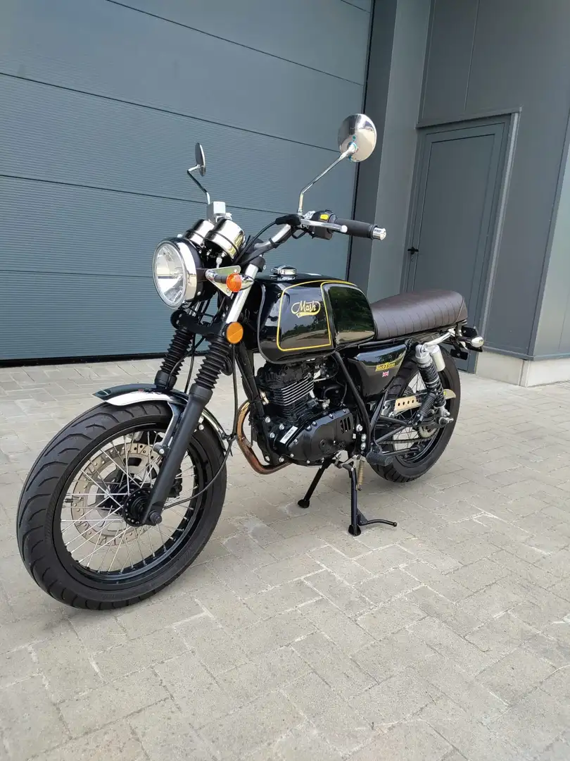 Mash Black Seven Noir - 2